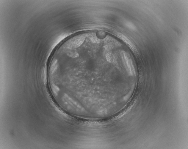 X0000115451079200911251302