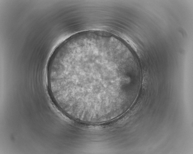 X0000115451080200911251302