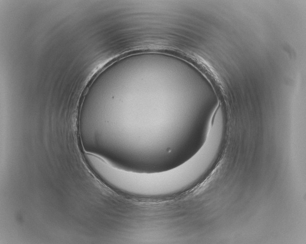 X0000115451081200911251302