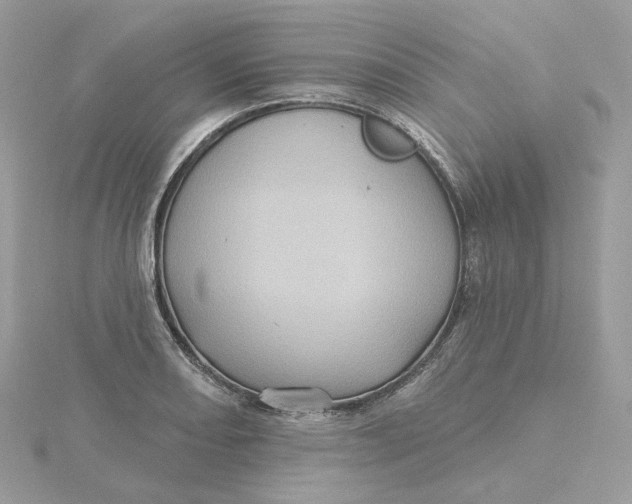 X0000115451082200911251302