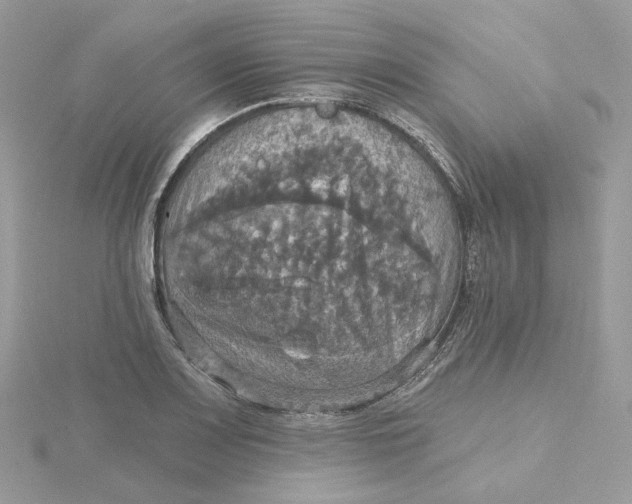 X0000115451083200911251302