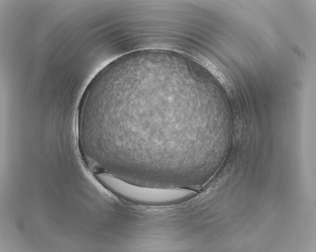 X0000115451084200911251302