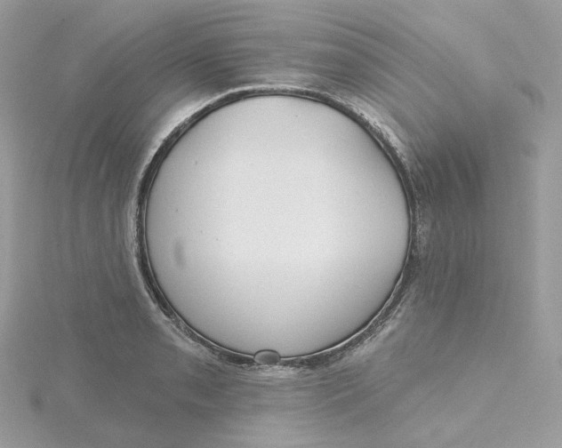 X0000115451085200911251302