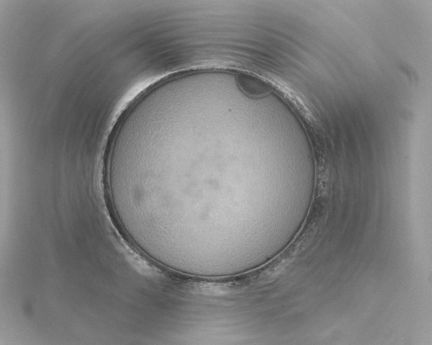 X0000115451086200911251302