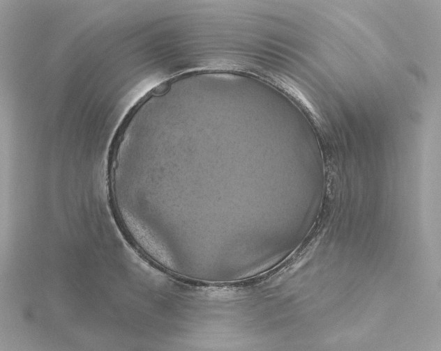 X0000115451087200911251302