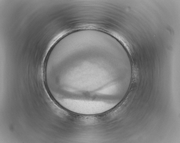 X0000115451090200911251302