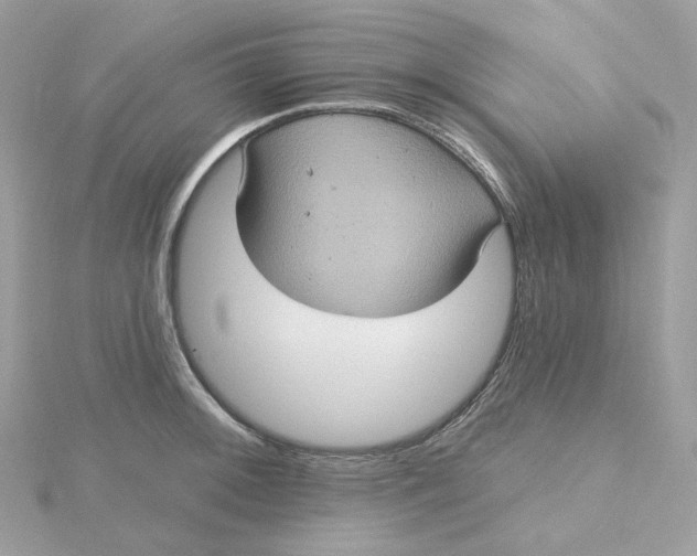 X0000115451092200911251302