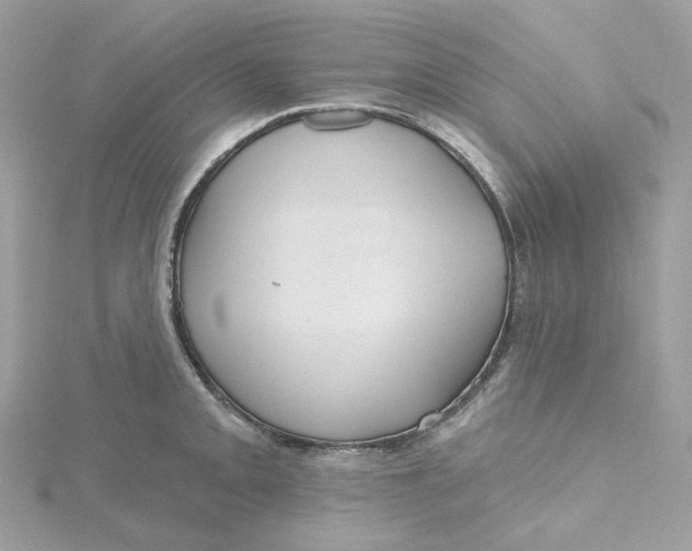 X0000115451093200911251302