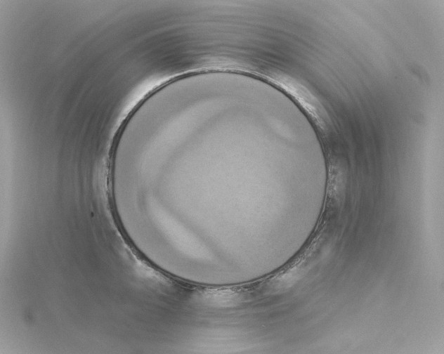 X0000115451094200911251302