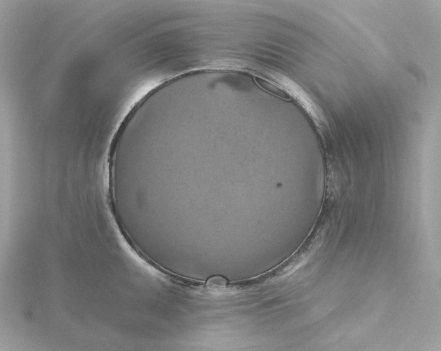 X0000115451095200911251302