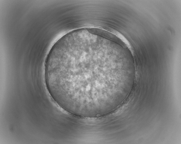 X0000115451096200911251302