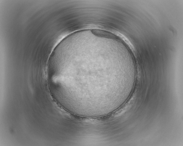 X0000115451097200911251302