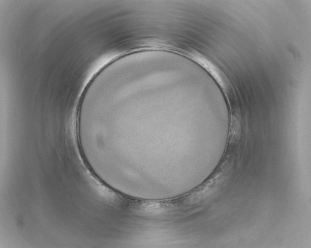 X0000115451098200911251302