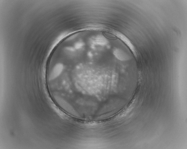 X0000115451099200911251302