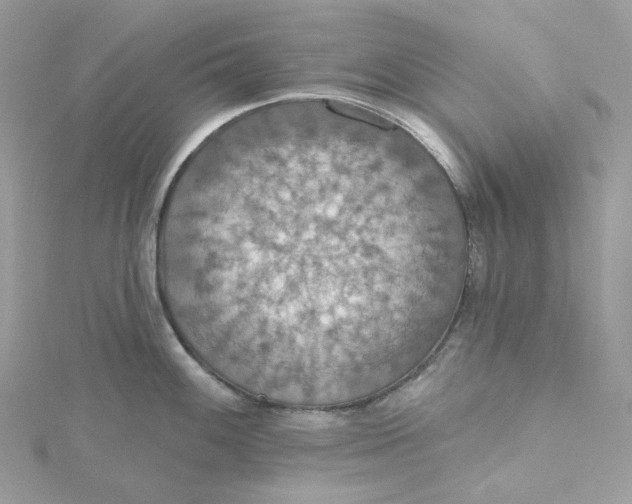 X0000115451100200911251302