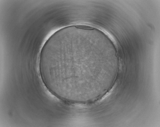 X0000115451102200911251302