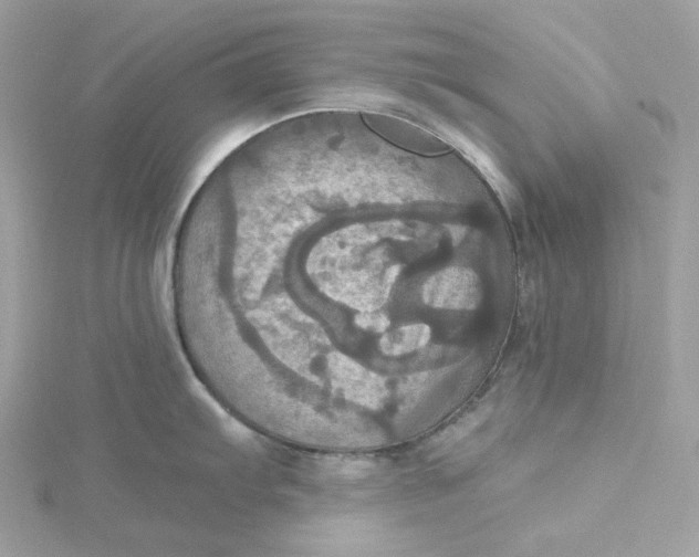 X0000115451103200911251302