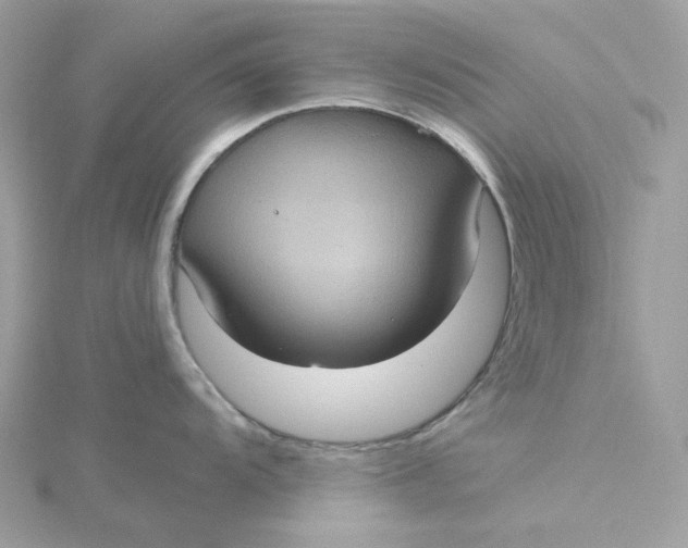 X0000115451104200911251302