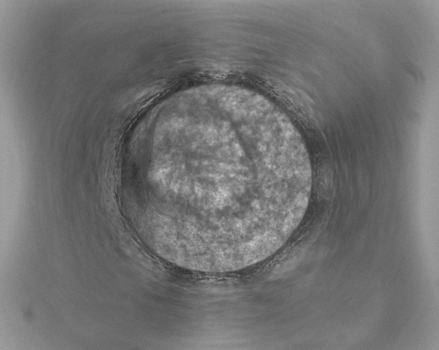 X0000115451105200911251301