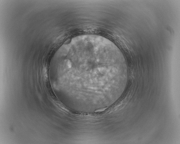 X0000115451106200911251301