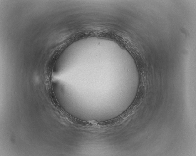 X0000115451109200911251301