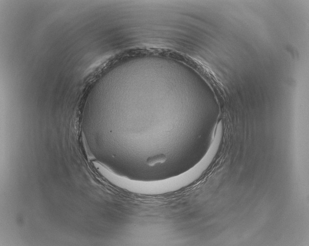 X0000115451110200911251301