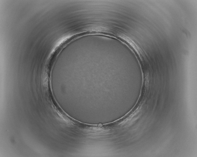 X0000115451115200911251301