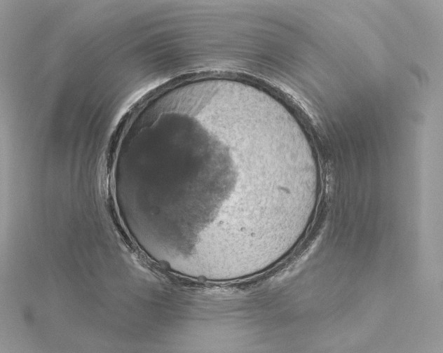 X0000115451117200911251301