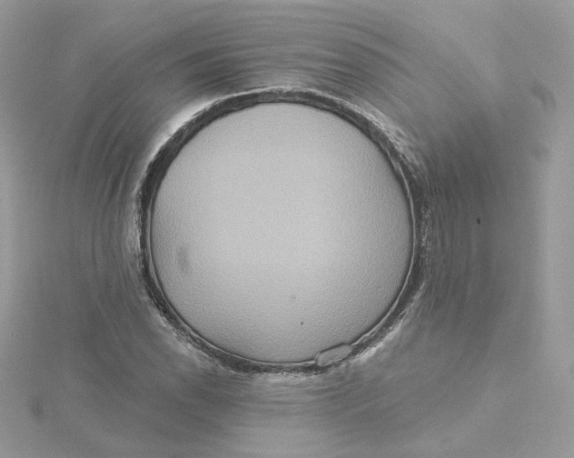 X0000115451118200911251301