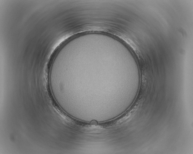 X0000115451119200911251301