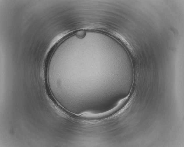 X0000115451122200911251301