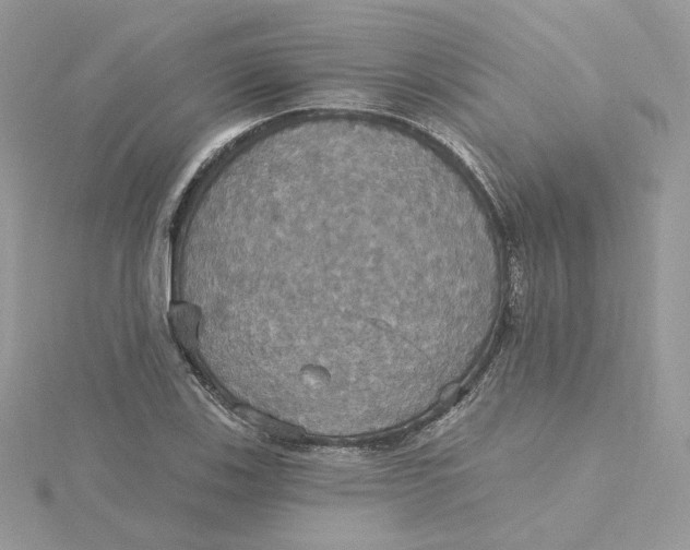 X0000115451123200911251301