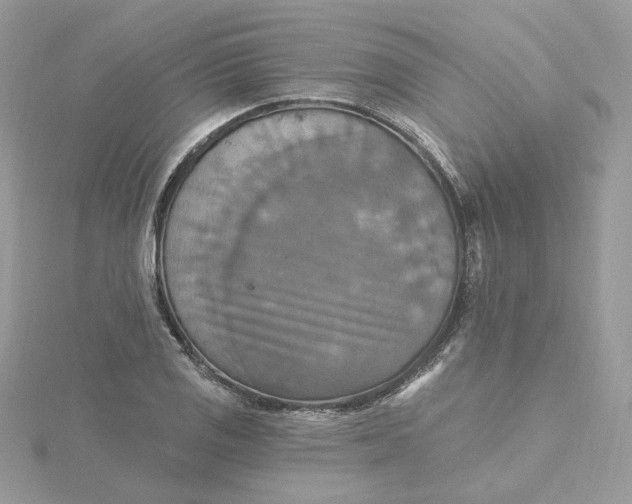 X0000115451125200911251301