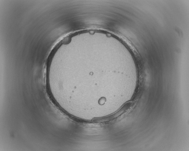 X0000115451126200911251301