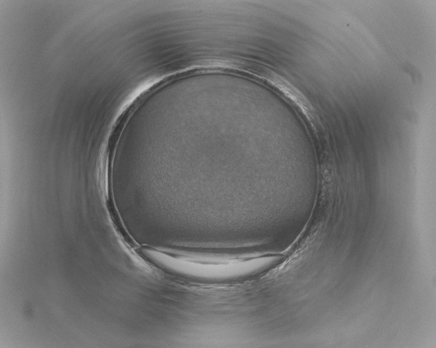 X0000115451127200911251301