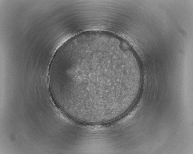 X0000115451129200911251301