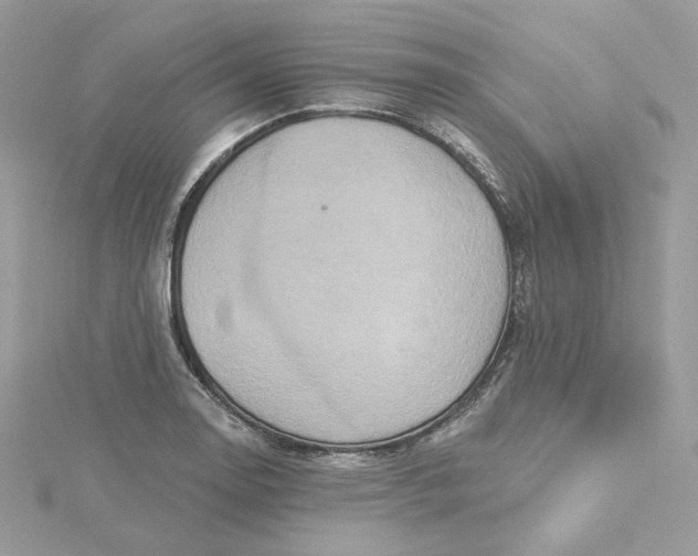 X0000115451130200911251301