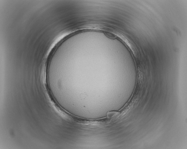 X0000115451131200911251301