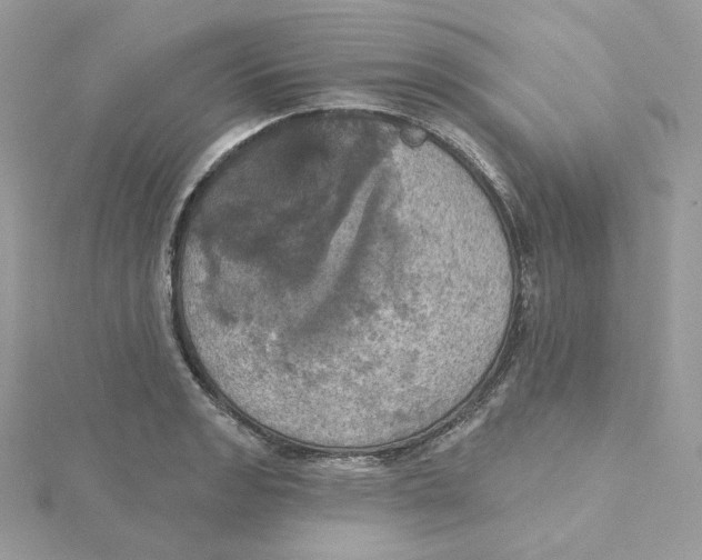 X0000115451133200911251301