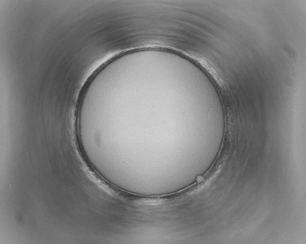 X0000115451134200911251301