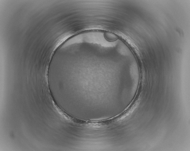 X0000115451137200911251301