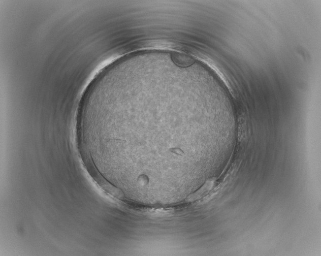 X0000115451139200911251301