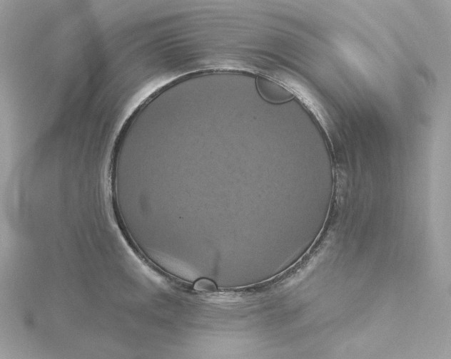 X0000115451141200911251301