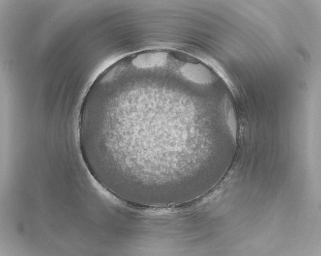 X0000115451143200911251301