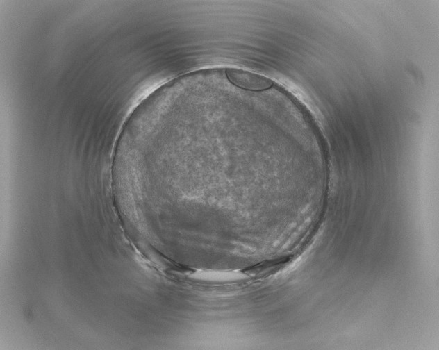 X0000115451145200911251301