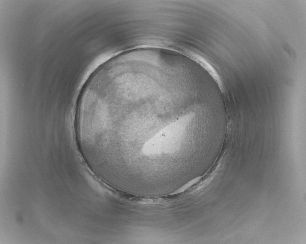 X0000115451146200911251301