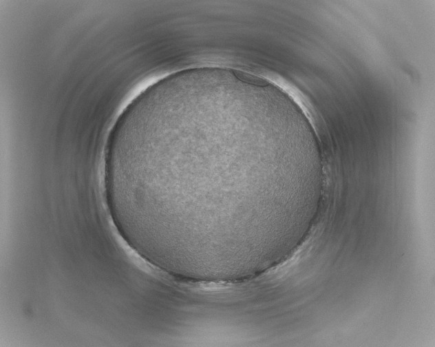 X0000115451147200911251301