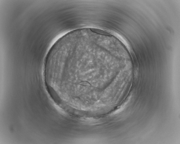 X0000115451149200911251301