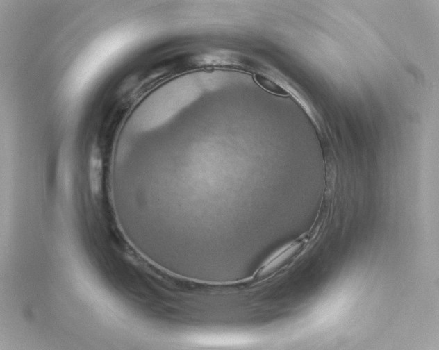 X0000115451151200911251301