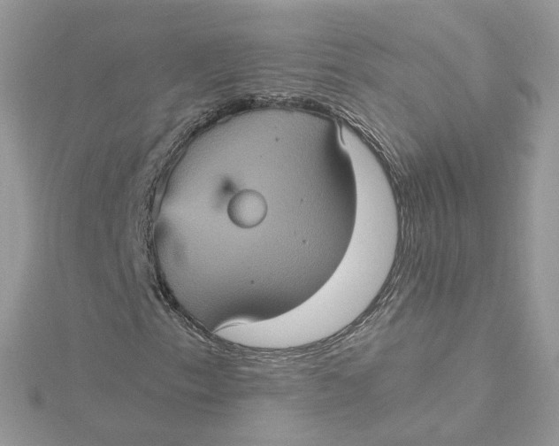 X0000115451153200911251301